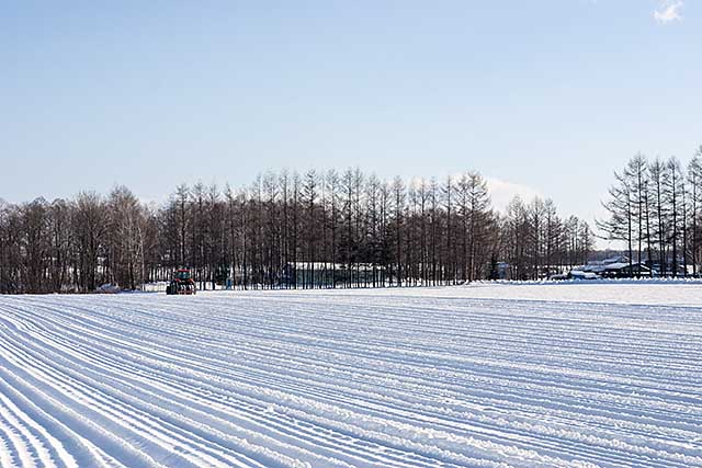 winterfield