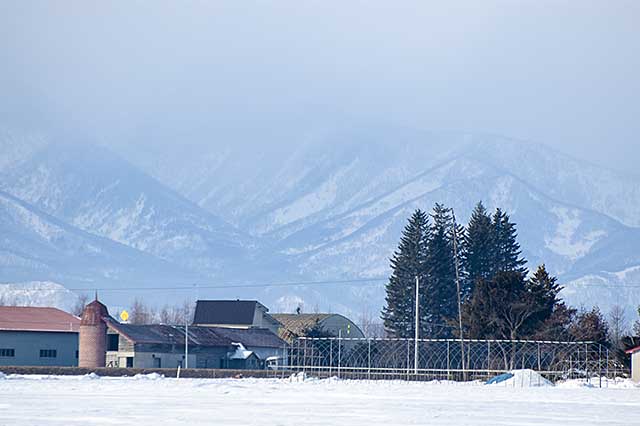 hokkaido field and mountain