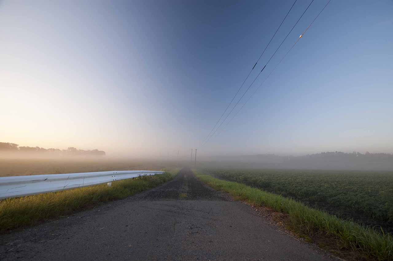 朝霧の中