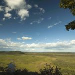 釧路湿原　タンチョウの命を繋ぎ育んだ270k㎡の湿地と乾燥化