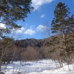 2019年1月15日から北海道 道有林も銃猟規制へ　期間、内容など