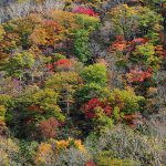 静岡の友人に送る北海道の秋の風景