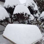 大雪警報発表　北海道札幌周辺や上川・十勝地方を中心に広く警報が出される