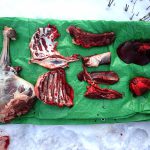 ジビエ　狩猟したエゾシカ肉の7つの各部位
