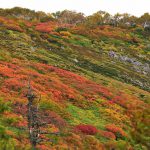 銀泉台と大雪高原温泉　2019年は9月14日から29日までが紅葉の見頃