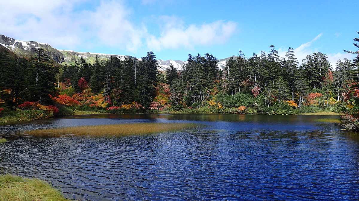 北海道高原温泉の紅葉