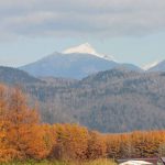 -10℃　北海道の晩秋を彩る冠雪とカラマツ
