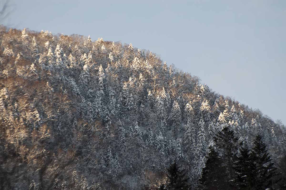 北海道の冬山
