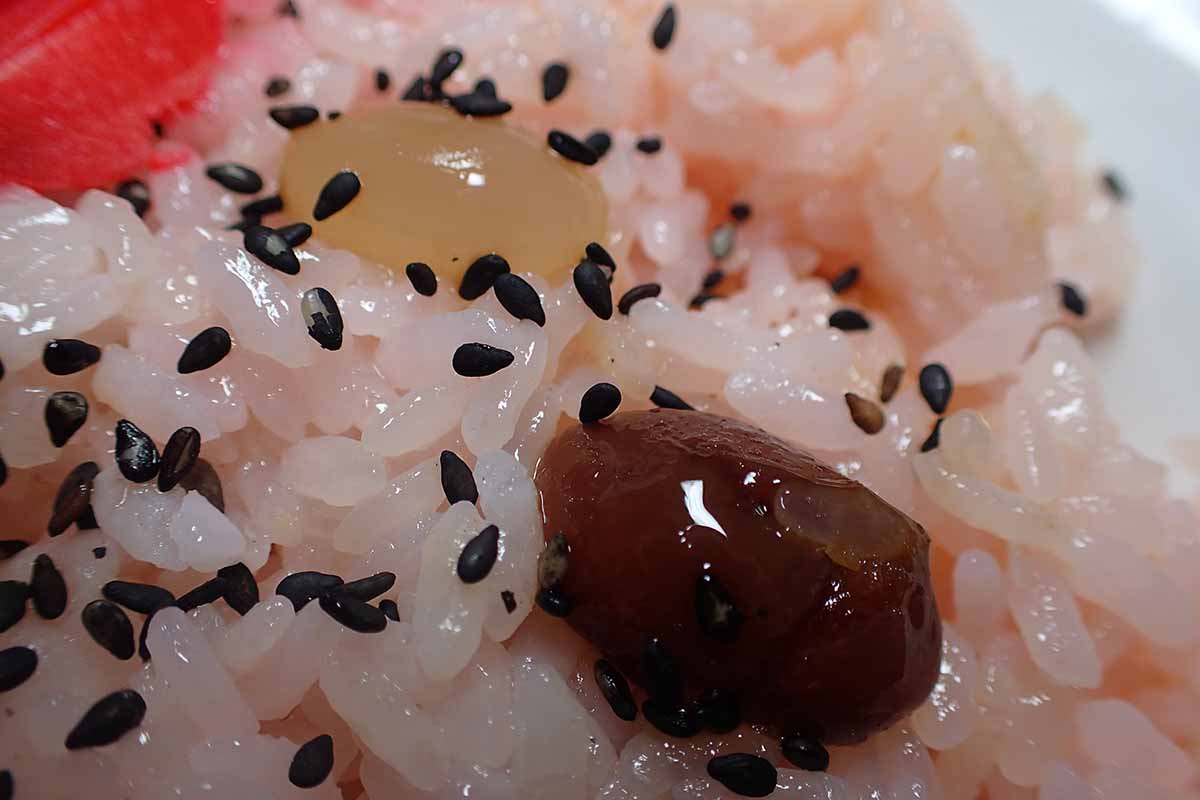 北海道の赤飯は桃色甘納豆 ハンター日記