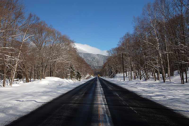 北海道の冬の道