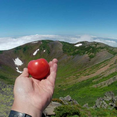 ハンター日記 a hunter diary