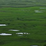 アヤメ咲く湿原と草原と風の中を歩く　北海道空知雨竜沼湿原の登山コース