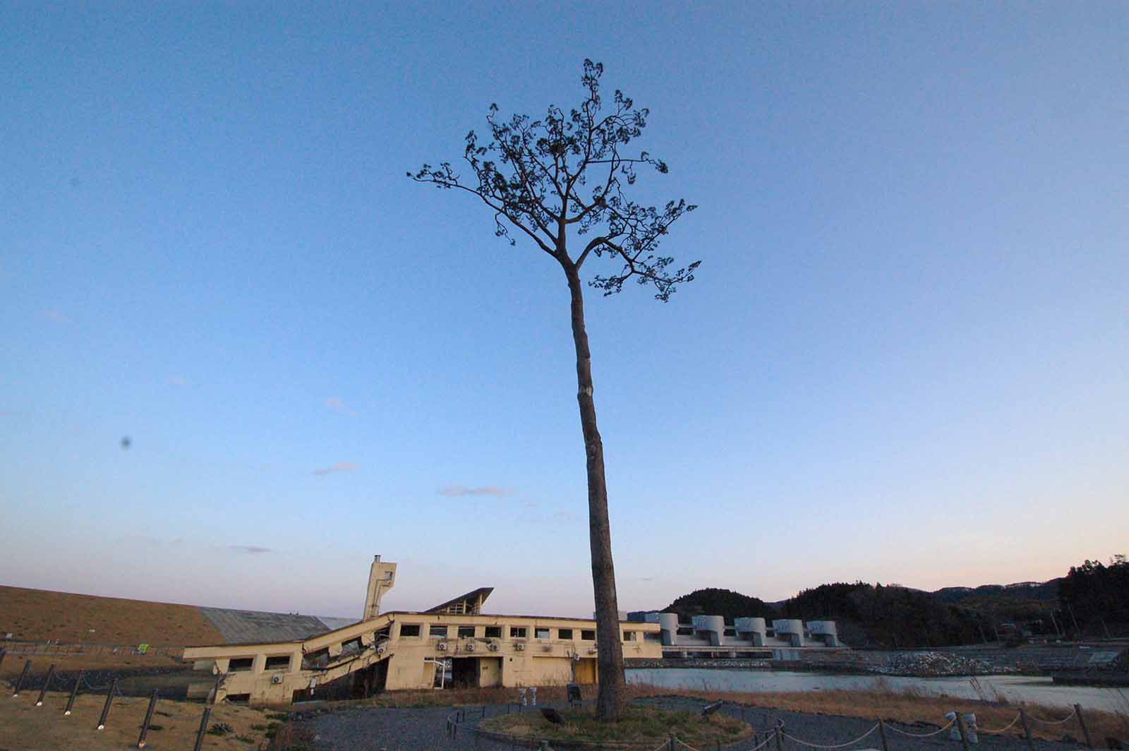 陸前高田における津波で崩壊した学校と一本松