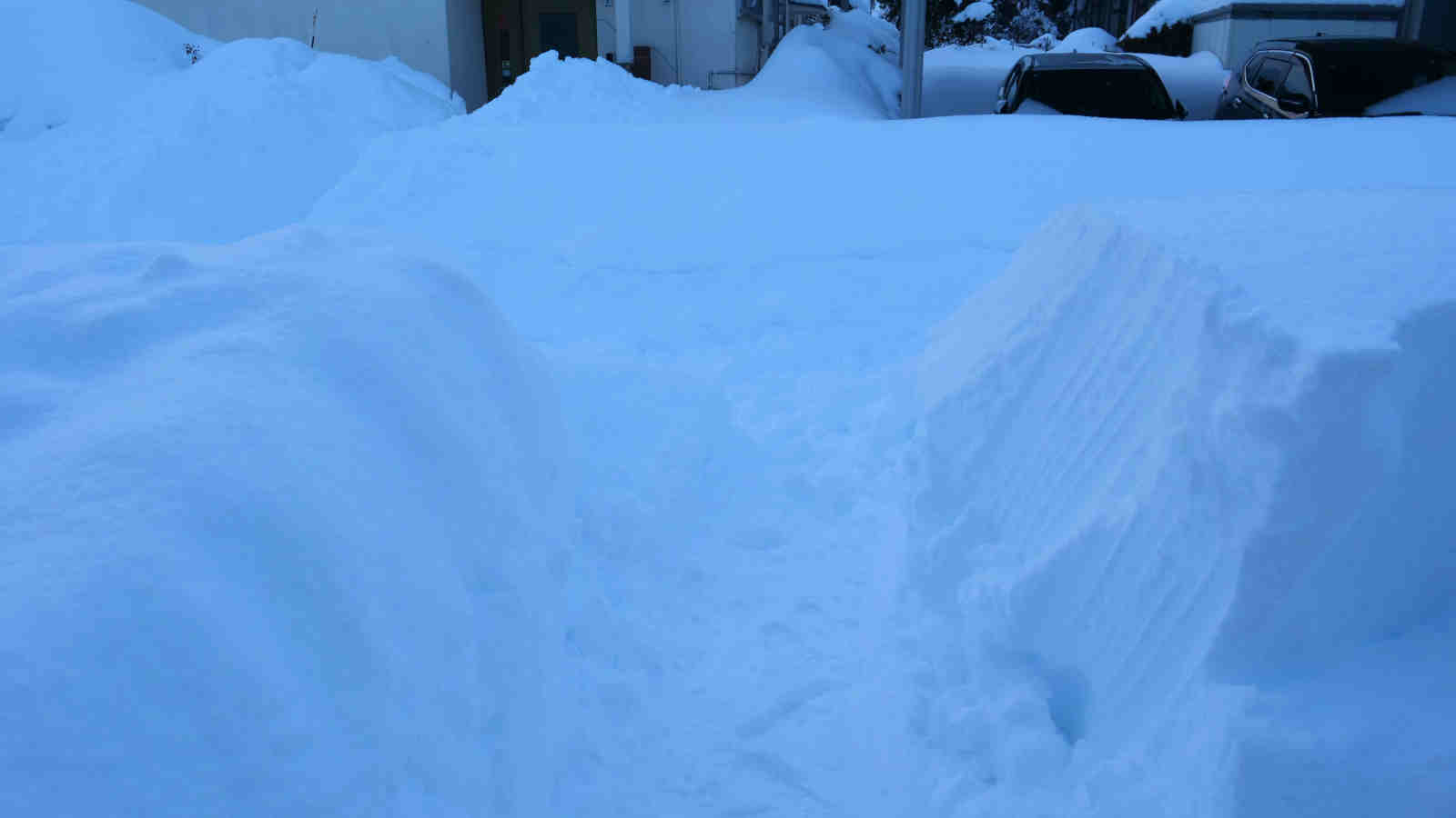 大雪