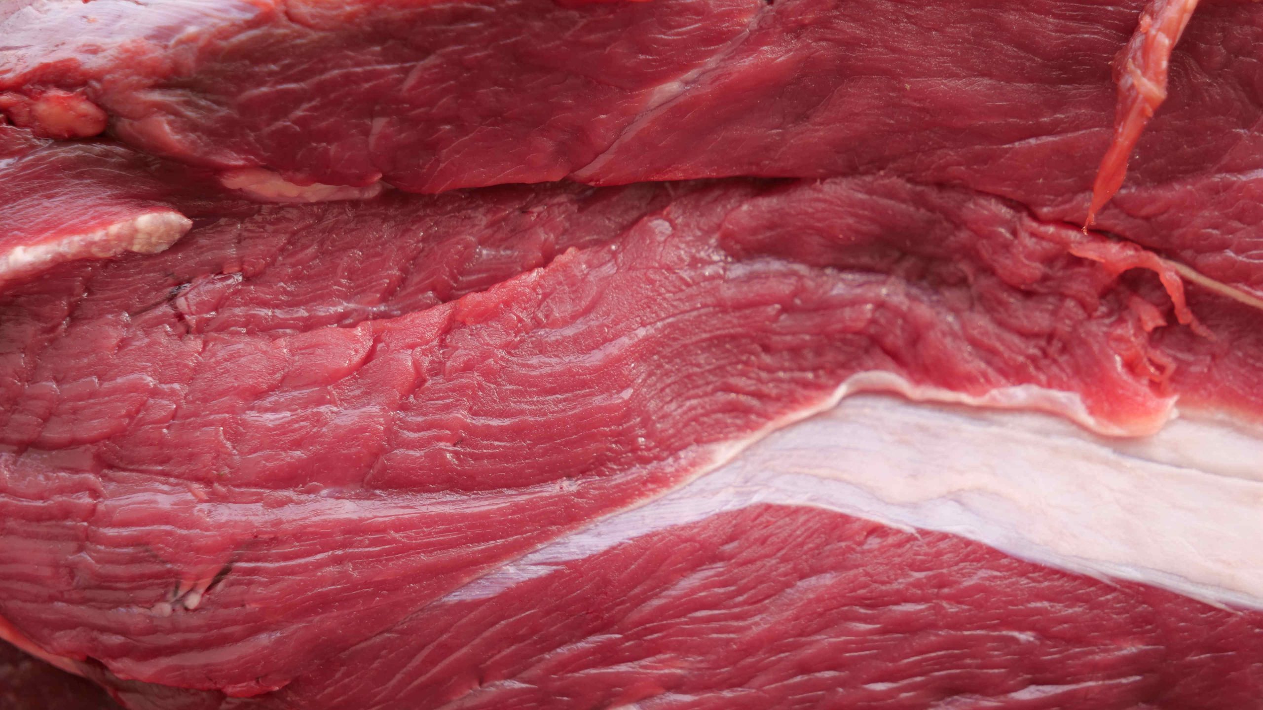 ヒグマ肉
