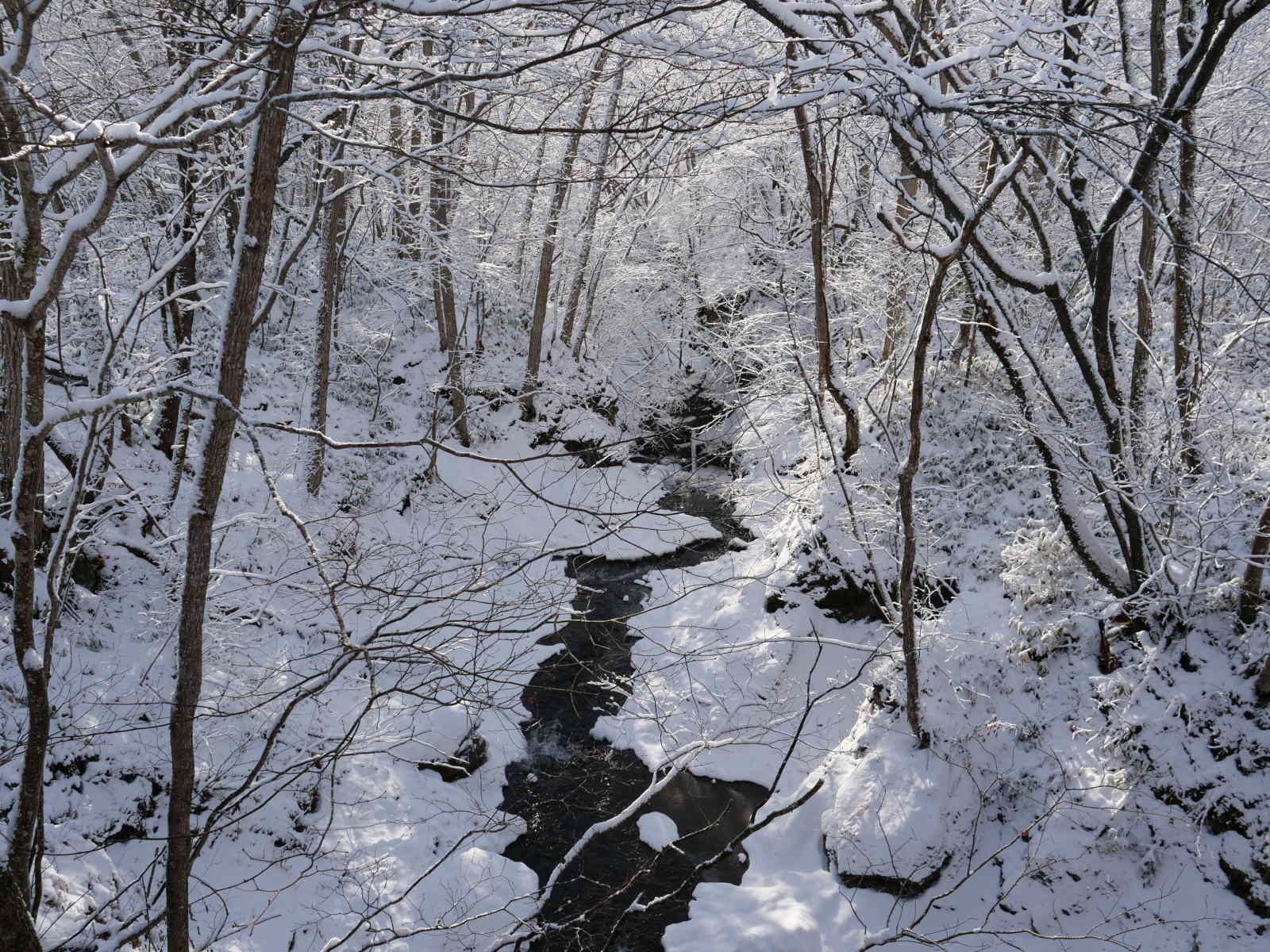 北海道の冬景色